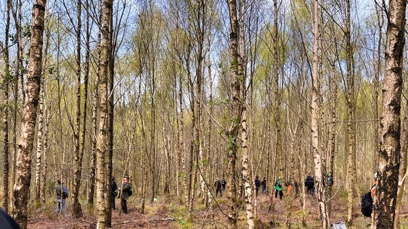 group standing in a mixed age woodland