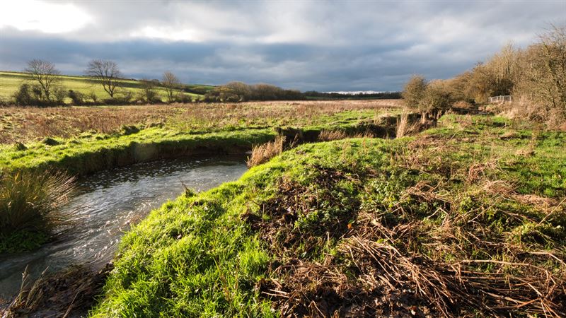 river with potential for tree planting next to it