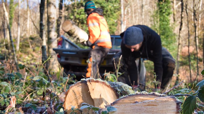 moving logs