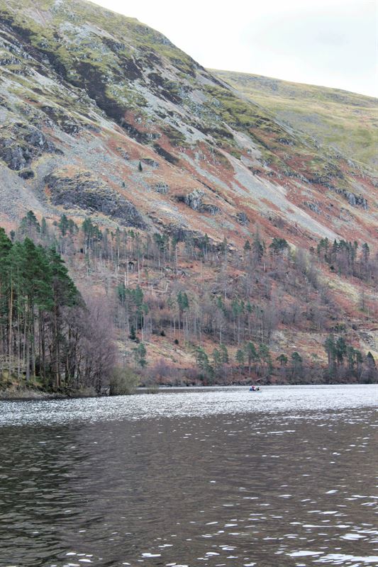 thirlmere lake and woodland